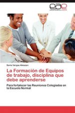 Formacion de Equipos de Trabajo, Disciplina Que Debe Aprenderse