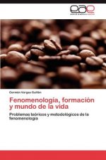 Fenomenologia, Formacion y Mundo de La Vida