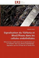 Signalisation Du Tgfbeta Et Rhogtpases Dans Les Cellules Endoth liales