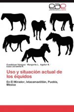 USO y Situacion Actual de Los Equidos