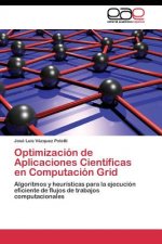 Optimizacion de Aplicaciones Cientificas en Computacion Grid