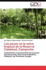 Peces En La Selva Tropical de La Reserva Calakmul, Campeche