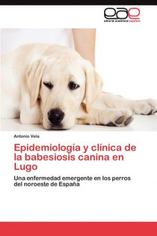 Epidemiologia y clinica de la babesiosis canina en Lugo