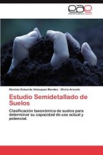 Estudio Semidetallado de Suelos