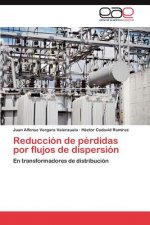 Reduccion de perdidas por flujos de dispersion