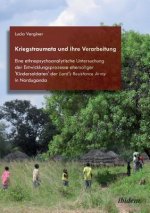 Kriegstraumata und ihre Verarbeitung. Eine ethnopsychoanalytische Untersuchung der Entwicklungsprozesse ehemaliger 'Kindersoldaten' der Lord's Resista