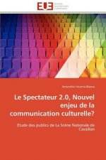 Le Spectateur 2.0, Nouvel Enjeu de la Communication Culturelle?