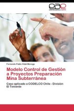 Modelo Control de Gestion a Proyectos Preparacion Mina Subterranea