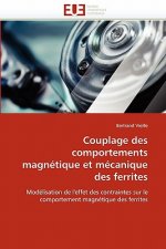 Couplage des comportements magnetique et mecanique des ferrites