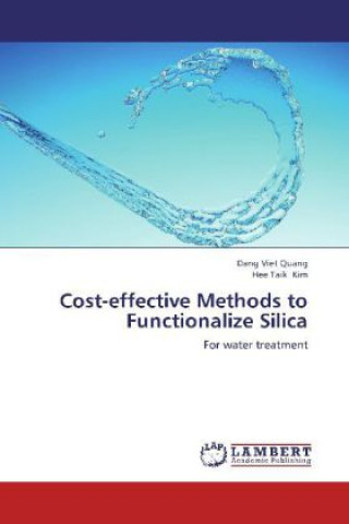 Cost-effective Methods to Functionalize Silica