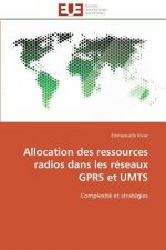 Allocation des ressources radios dans les reseaux gprs et umts