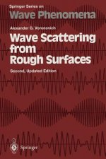 Wave Scattering from Rough Surfaces