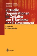 Virtuelle Organisationen im Zeitalter von E-Business und E-Government