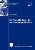 Nonprofit-Sektor der Organisationsgesellschaft