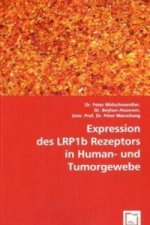 Expression des LRP1b Rezeptors in Human- und Tumorgewebe