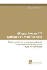 Glimpse Into an Atp Synthase's F0 Motor at Work