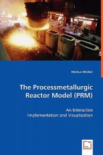 Processmetallurgic Reactor Model (PRM) - An Interactive Implementation and Visualization