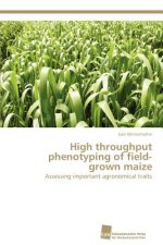 High throughput phenotyping of field-grown maize