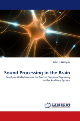 Sound Processing in the Brain