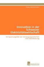 Innovation in der Schweizer Elektrizitatswirtschaft