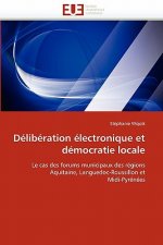 Deliberation electronique et democratie locale