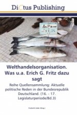 Welthandelsorganisation. Was u.a. Erich G. Fritz dazu sagt