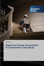 State-level Virtual Universities