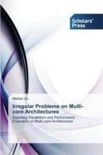 Irregular Problems on Multi-Core Architectures