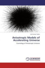 Anisotropic Models of Accelerating Universe