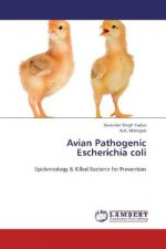 Avian Pathogenic Escherichia coli
