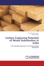 Carbon Capturing Potential of Wood Substitution in India