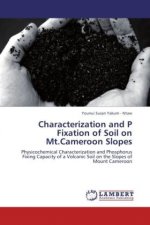 Characterization and P Fixation of Soil on Mt.Cameroon Slopes