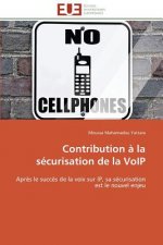 Contribution a la securisation de la voip