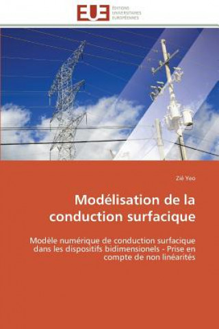 Modelisation de la conduction surfacique