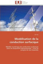 Modelisation de la conduction surfacique
