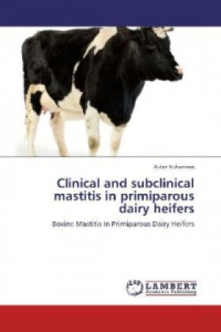 Clinical and subclinical mastitis in primiparous dairy heifers