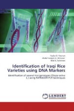 Identification of Iraqi Rice Varieties using DNA Markers