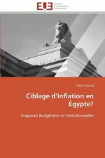 Ciblage d inflation en egypte?