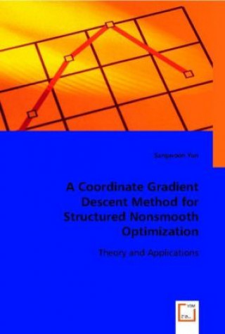A Coordinate Gradient Descent Method for Structured Nonsmooth Optimization