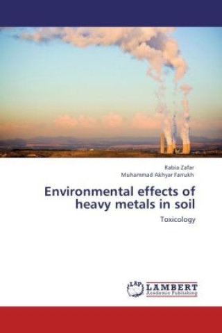 Environmental effects of heavy metals in soil