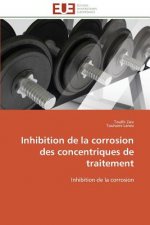 Inhibition de la Corrosion Des Concentriques de Traitement