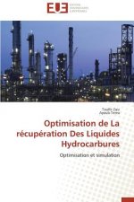 Optimisation de la R cup ration Des Liquides Hydrocarbures