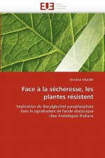 Face   La S cheresse, Les Plantes R sistent