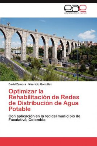 Optimizar La Rehabilitacion de Redes de Distribucion de Agua Potable