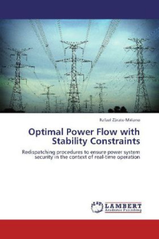 Optimal Power Flow with Stability Constraints