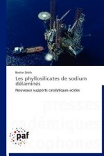 Les Phyllosilicates de Sodium Delamines