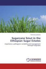 Sugarcane Smut in the Ethiopian Sugar Estates