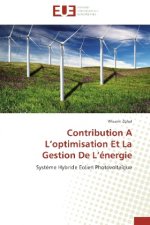 Contribution A L'optimisation Et La Gestion De L'énergie