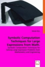Symbolic Computation Techniques for Large Expressions from Math. and Engineering