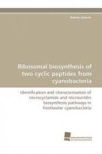 Ribosomal Biosynthesis of Two Cyclic Peptides from Cyanobacteria